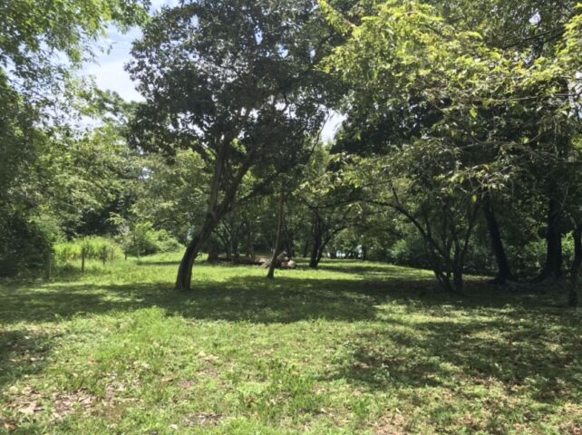 Pavones Chokuako beach front property with title
