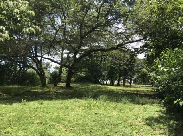 Almost 2 acres beach front property in Pavones