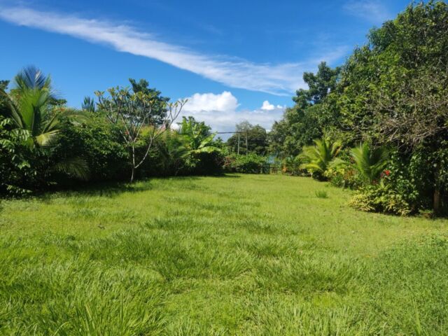 Clean title lot in Pavones