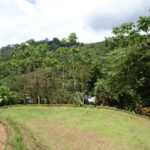 Bienes raices Pavones Costa Rica