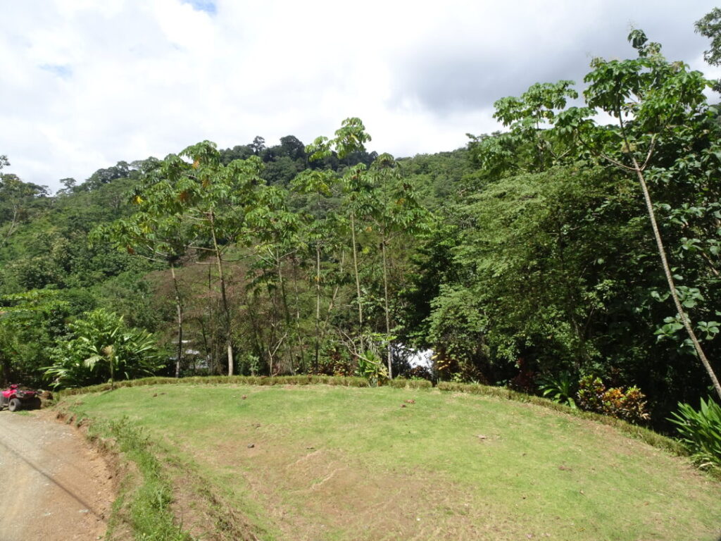 Pilon Cocal Costa Rica