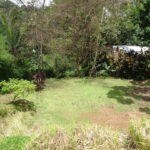 Bienes raices Pavones Costa Rica