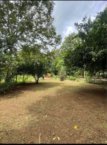 Pilon Salea commercial/residential lot